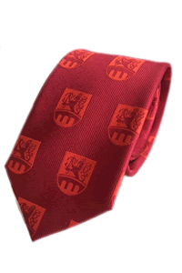 Bespoke Woven Ties by The Logo Works